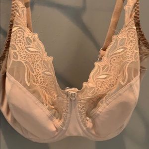 Panache Superbra 40FF bra